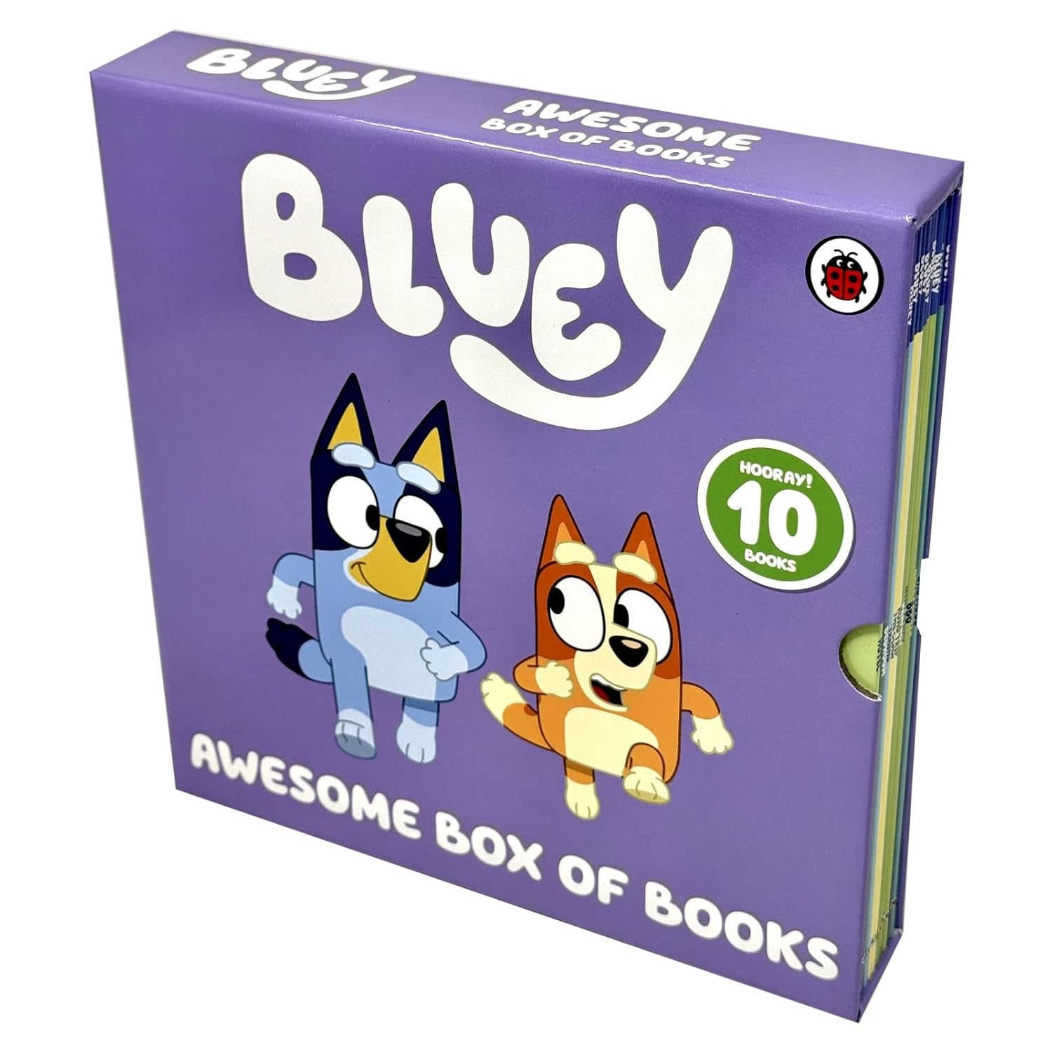 Bluey: Awesome Box of Books 10 Books Box Set (Paperback)