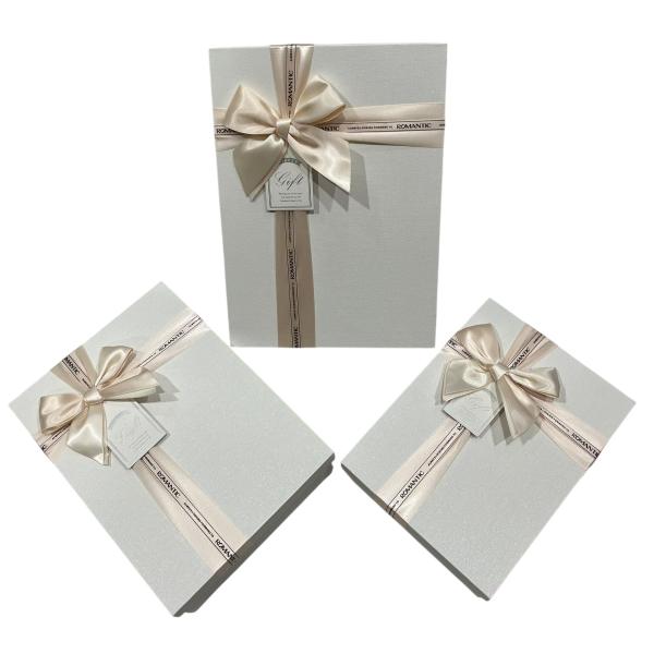 Gift Box (L) 29*21*9.5 Y91307