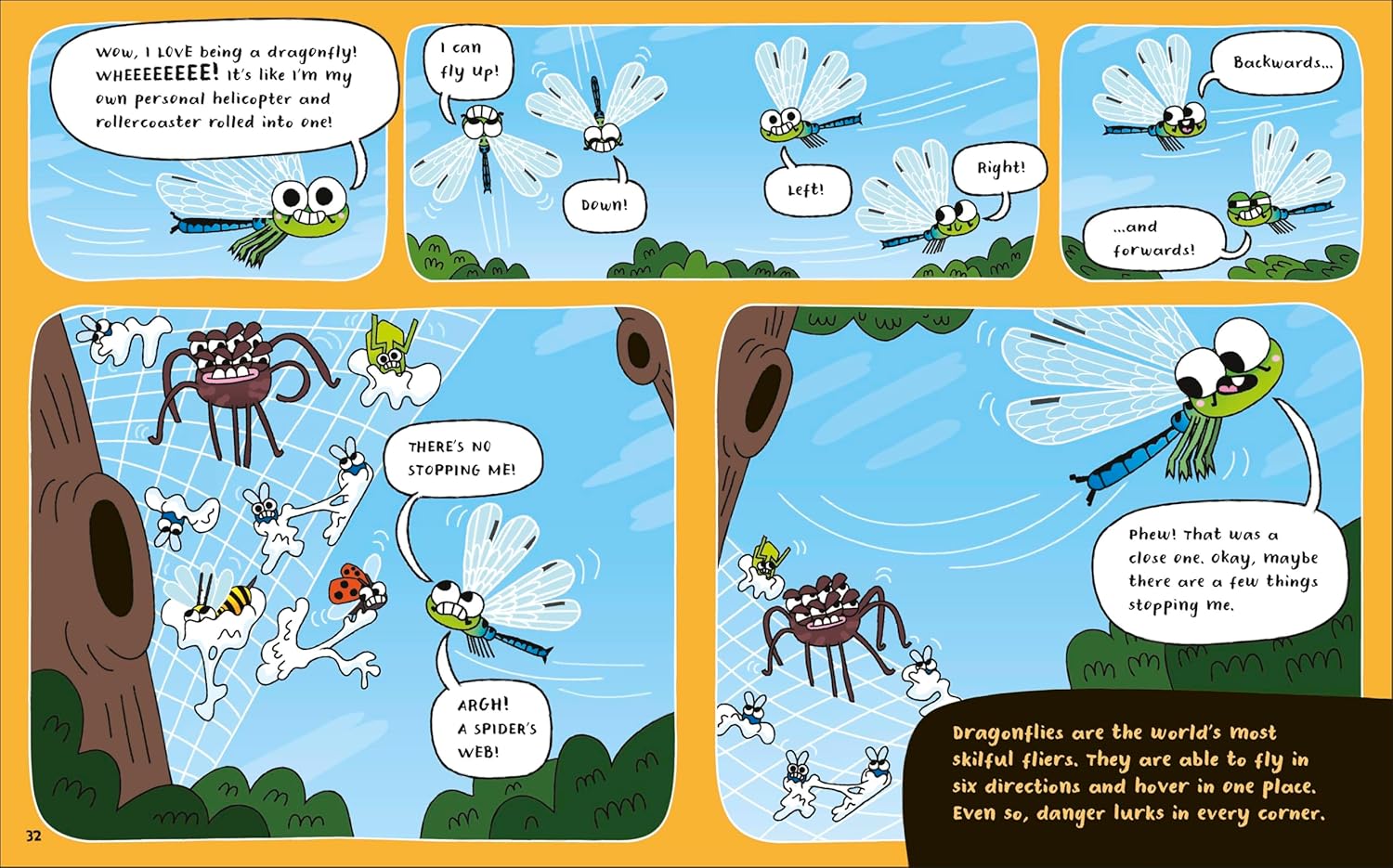 How To Be A Dragonfly