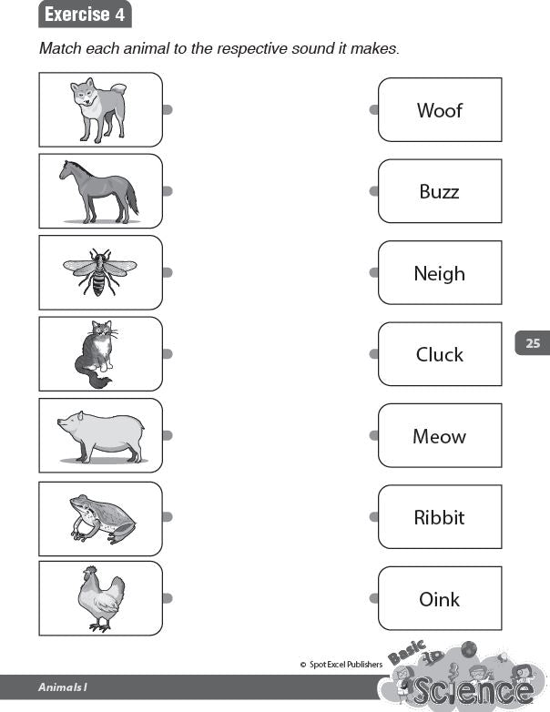Pre-school Basic Science