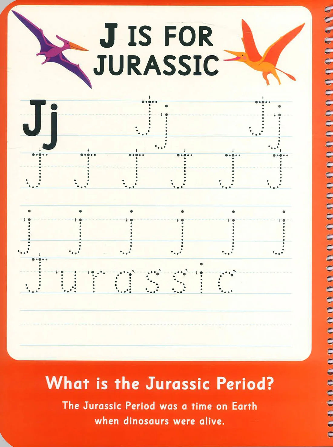 My First 100 Science Words Write And Wipe