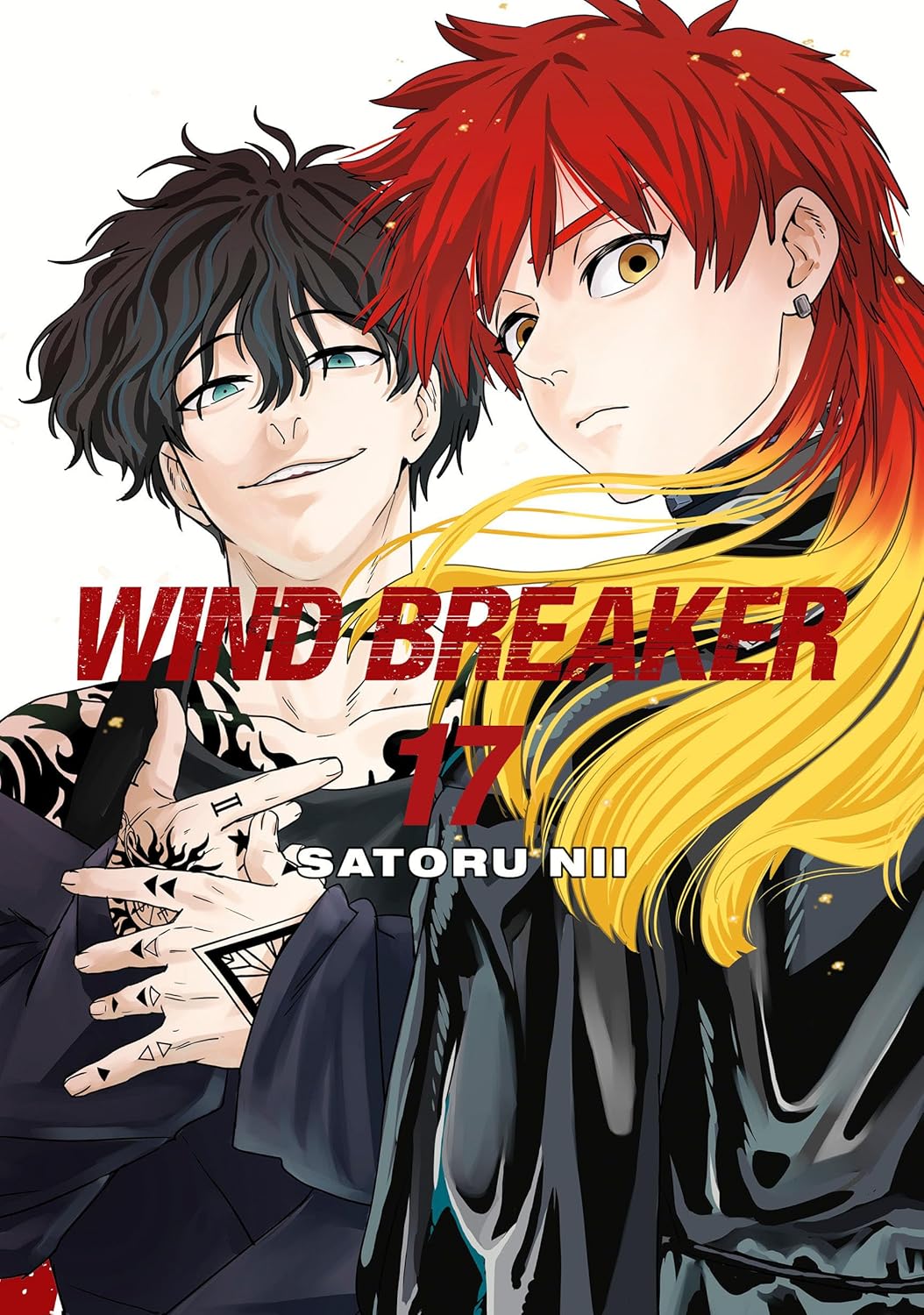 Wind Breaker 17 (Manga)