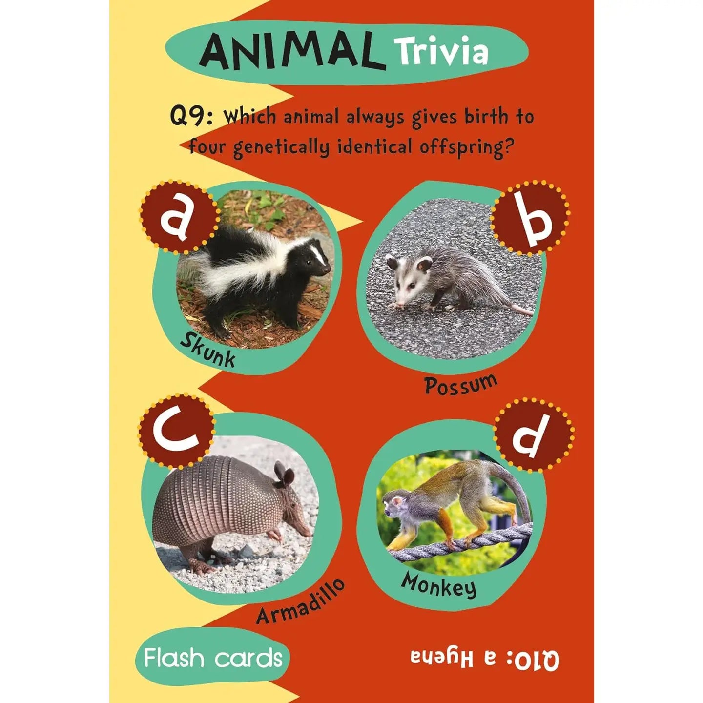 Flash Card Gift Set - Animal Trivia