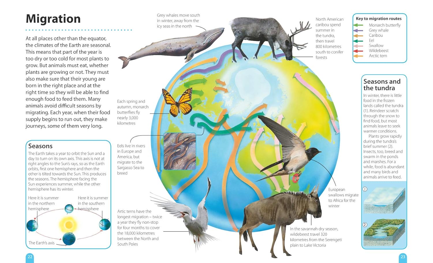 How It Works: Environment