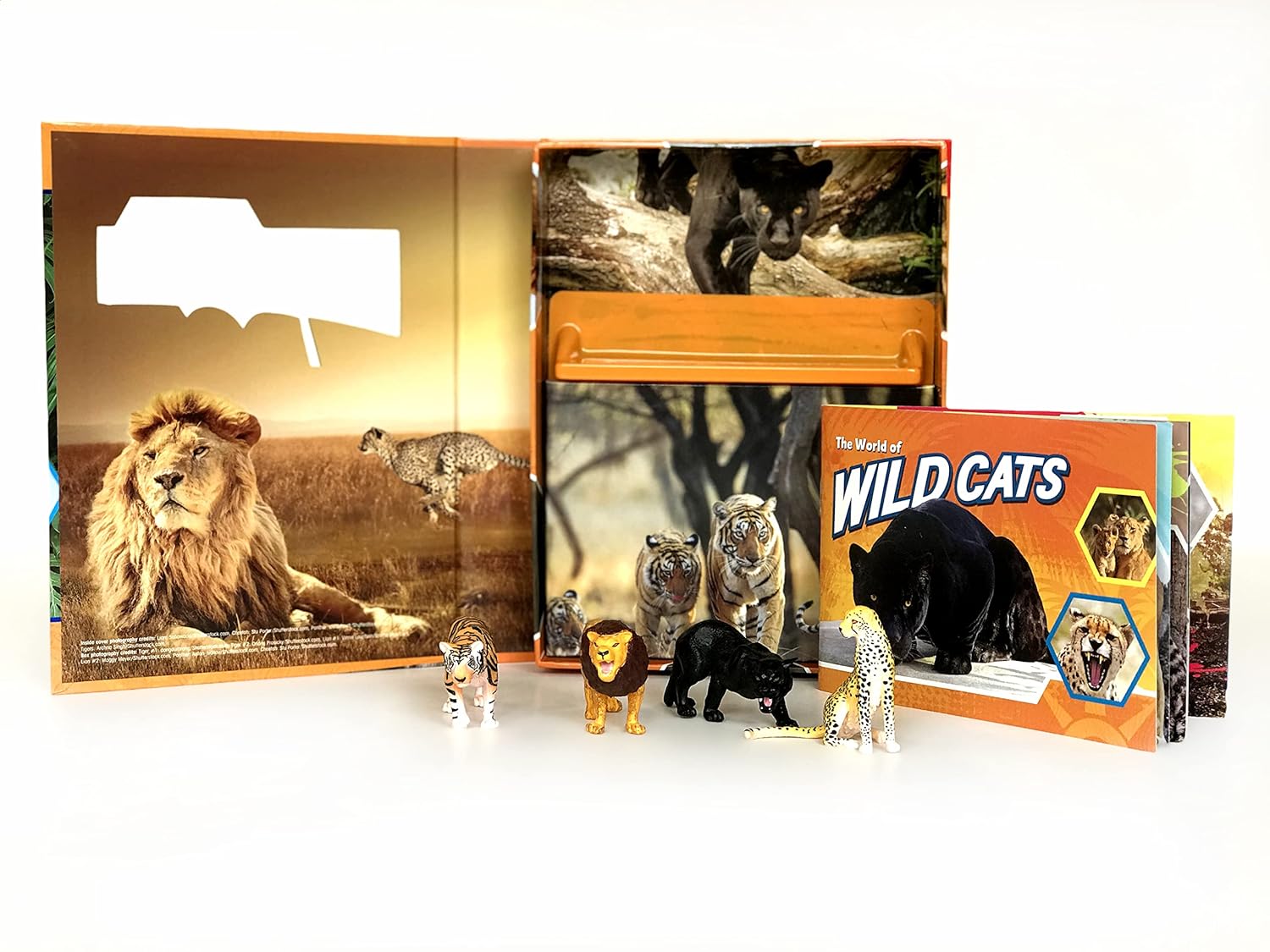 Wild Cats Pocket Explorers 