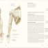  Humans: The Evolution of a Species