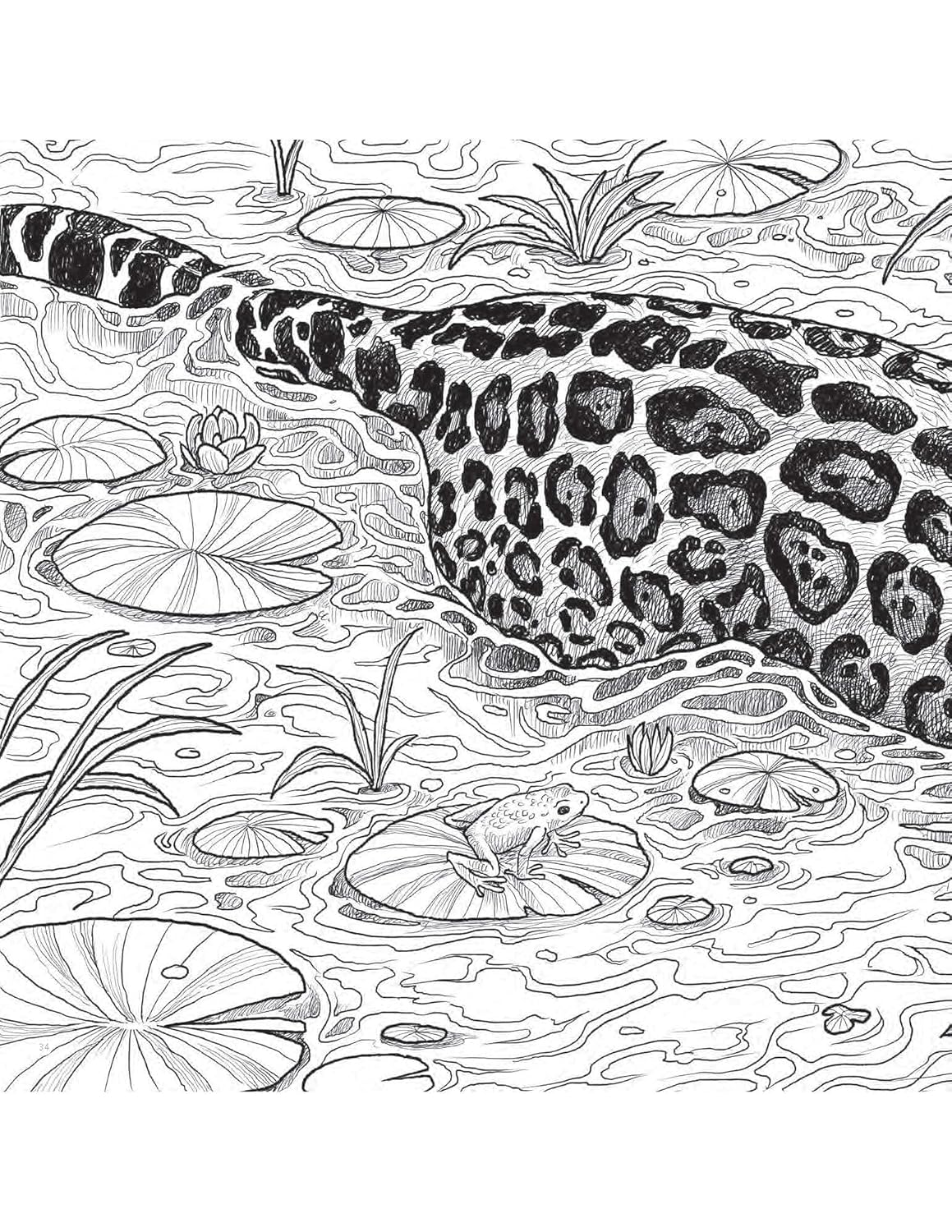 Fragile World Colouring Book