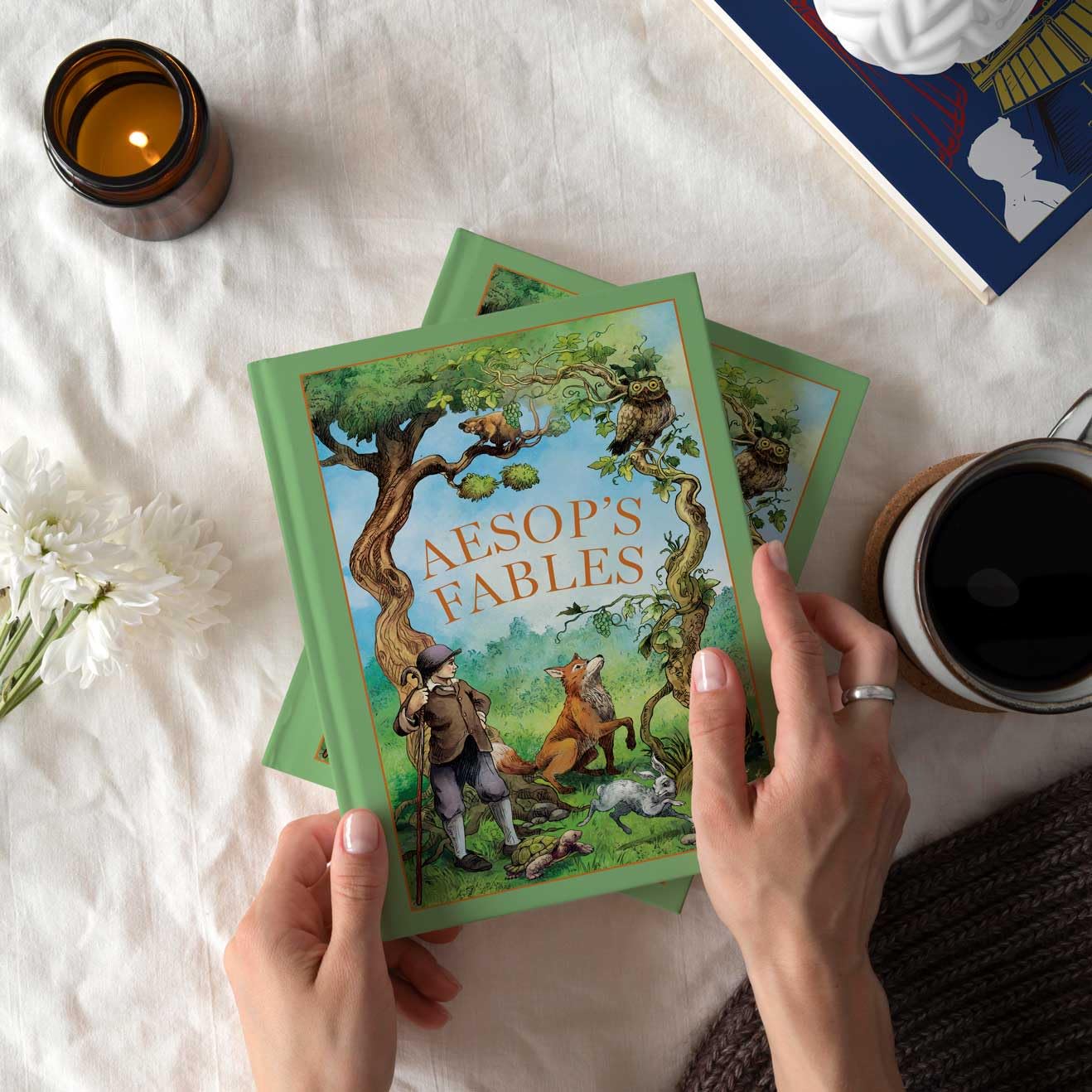 Aesop's Fables (Leather-bound)