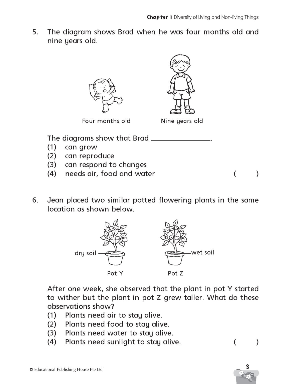 Primary 3 Science Progressive Practice