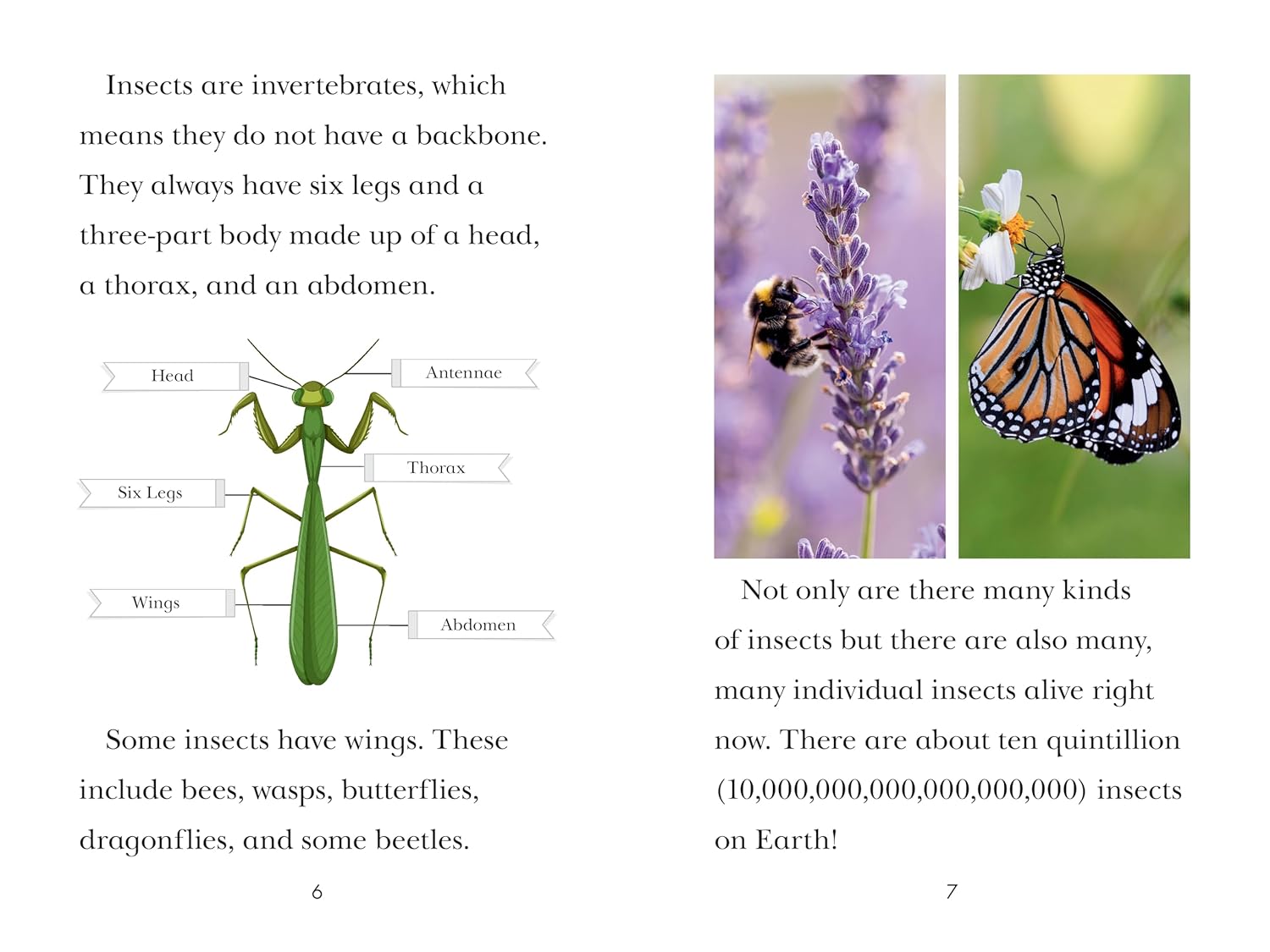 TIME for Kids: Insects