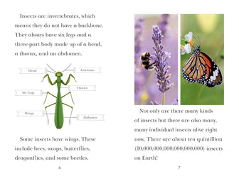 TIME for Kids: Insects