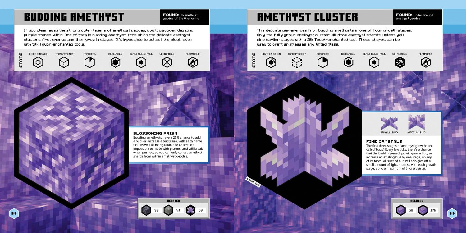Minecraft Official Blocks Guide (Hardcover)