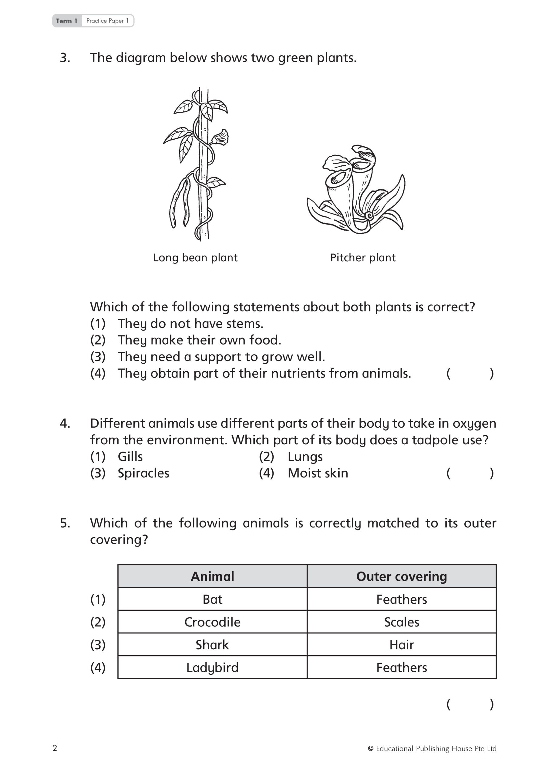 Primary 4 Top Science Practice Papers (4th Edition)