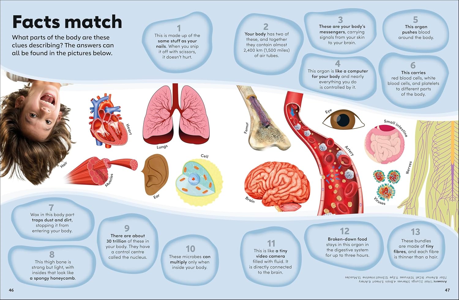 Eyewonder Human Body: Open Your Eyes to a World of Discovery