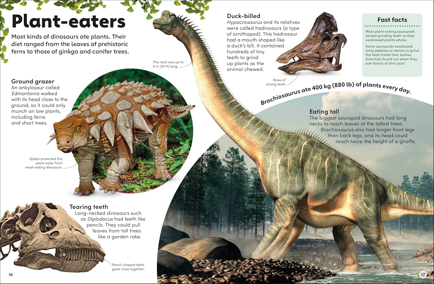 Eyewonder Dinosaurs: Open Your Eyes to a World of Discovery