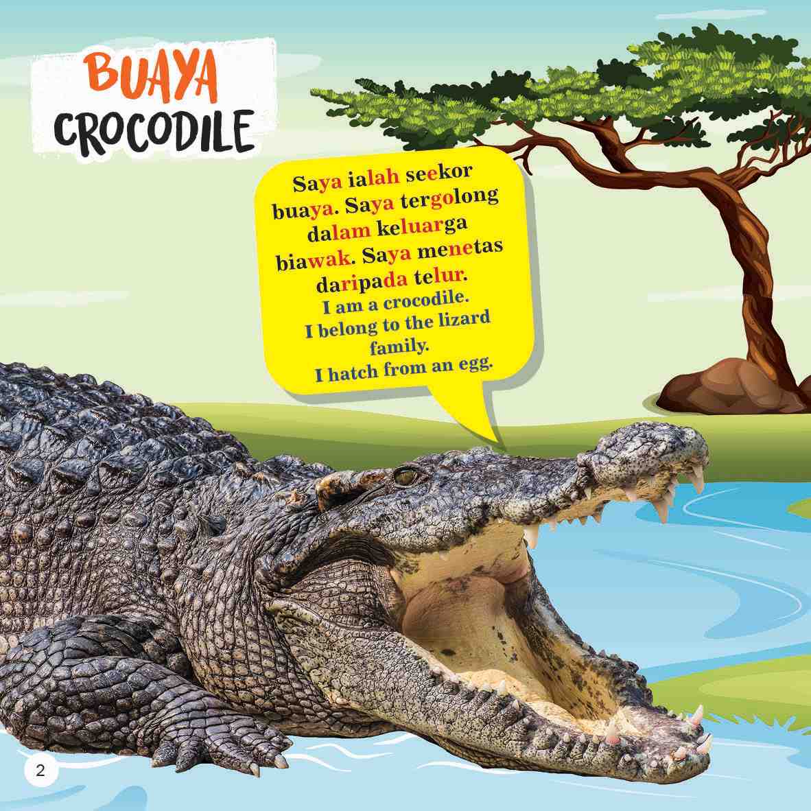 Trivia Kanak-kanak Tentang Reptilia Dan Amfibia Dwibahasa