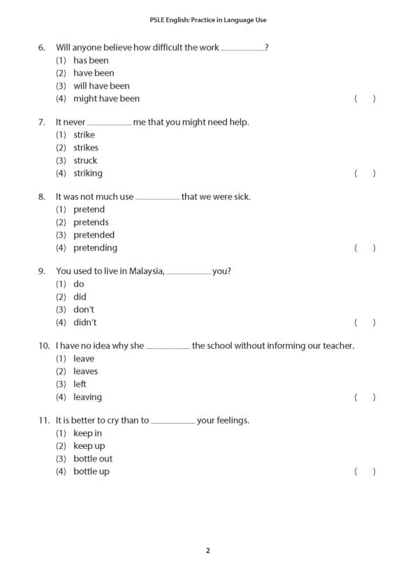 PSLE English Practice in Language Use