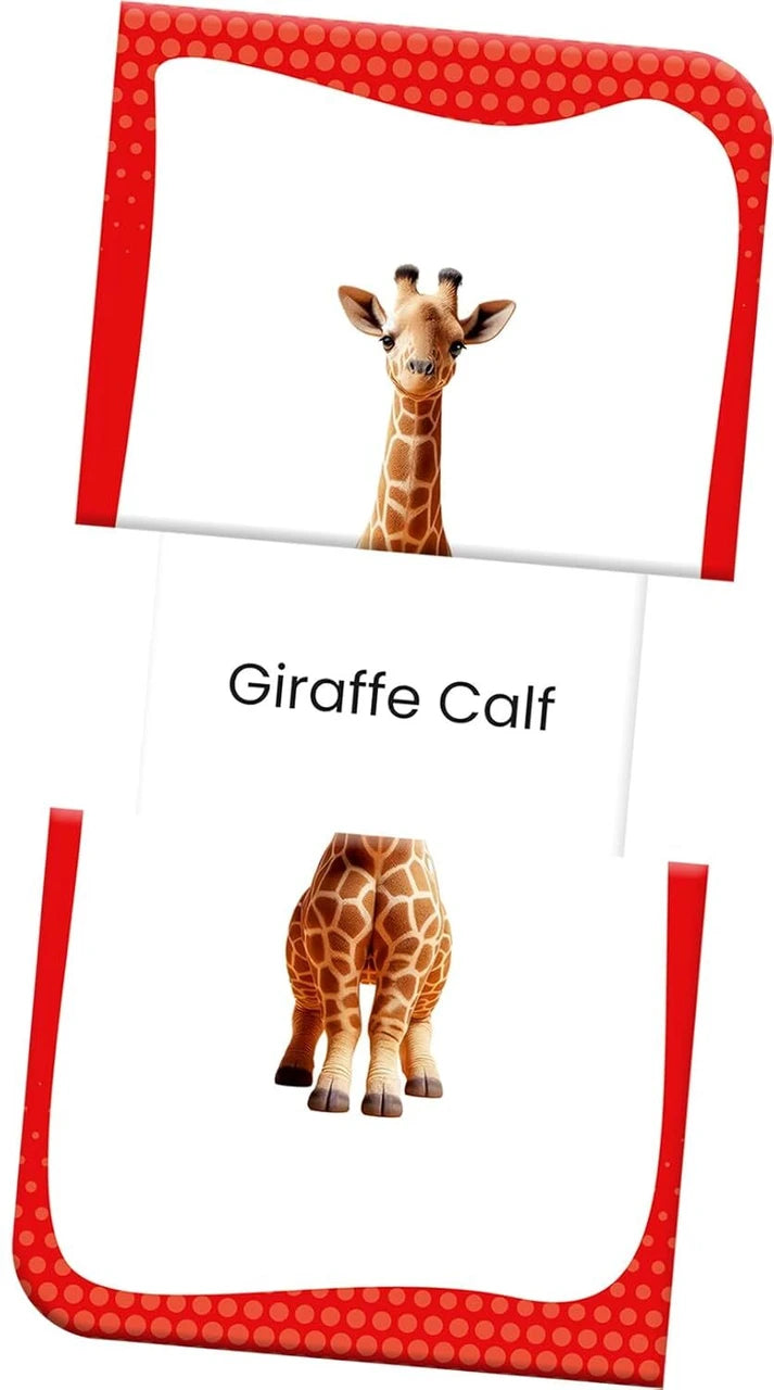 Slide & Learn Flashcards: Wild Animals & & Their Babies