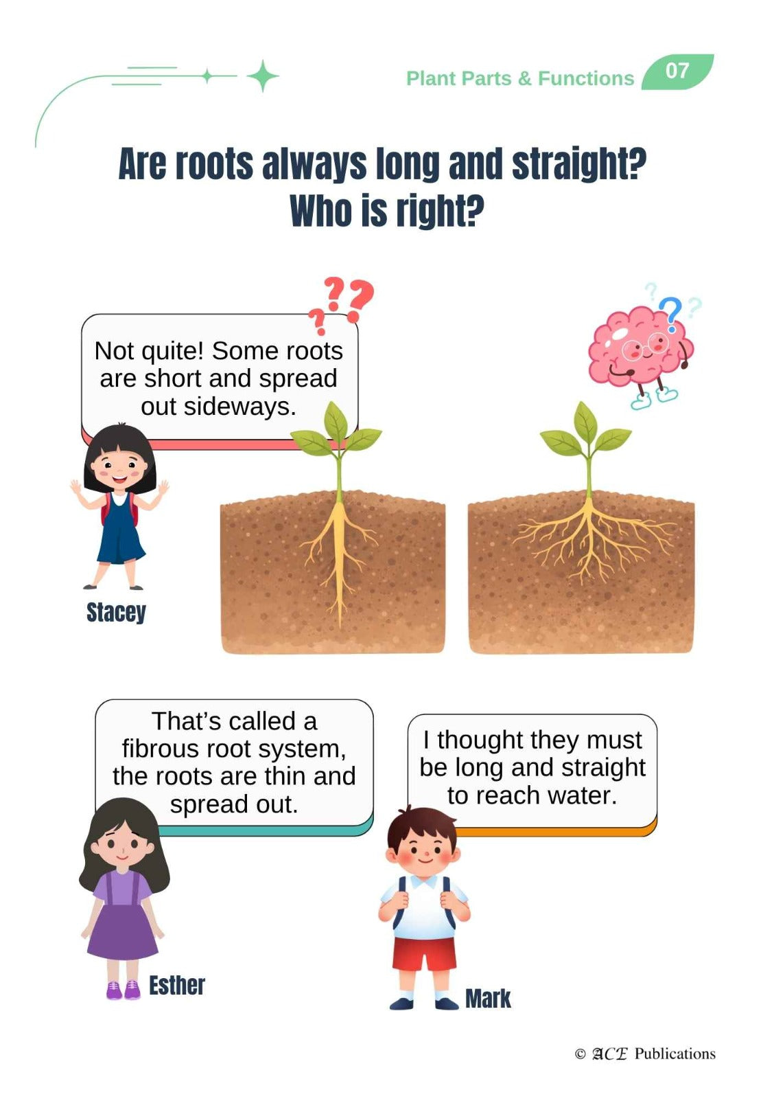 Primary 4 Life Science – Get Your Concepts Right