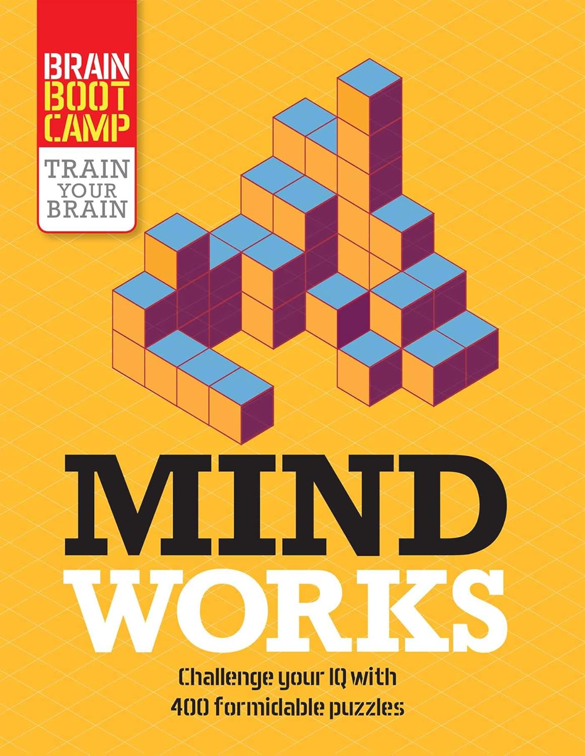 Mind Works (Brain Boot Camp) Paperback 