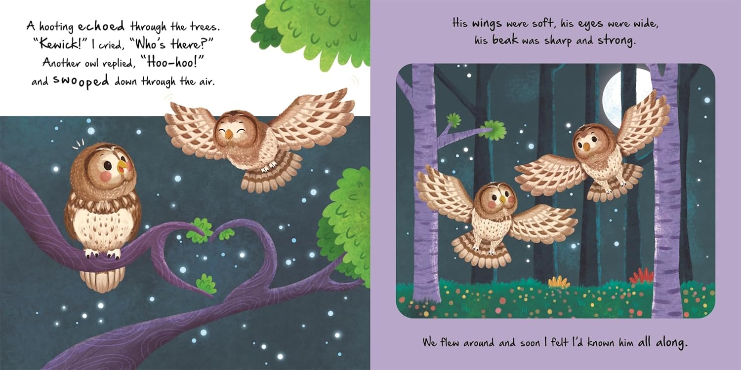 Little Owl (An Illustrated Story About The Life-Cycle Of An Owl) (Board book)