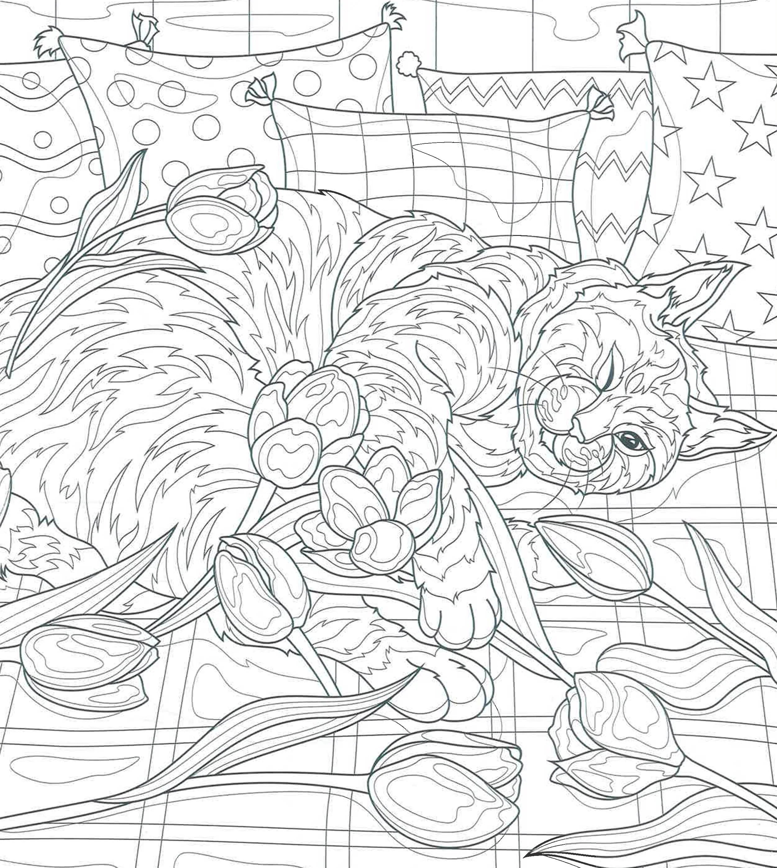 Quarto: Creative Cats Colouring Book