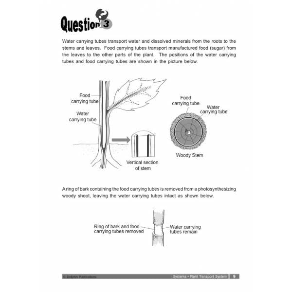 Primary 5 Science Score In Open-ended Questions