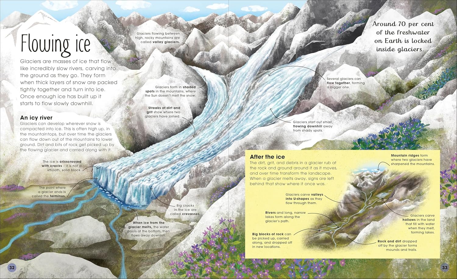 The Magic and Mystery of Earth (Hardcover)