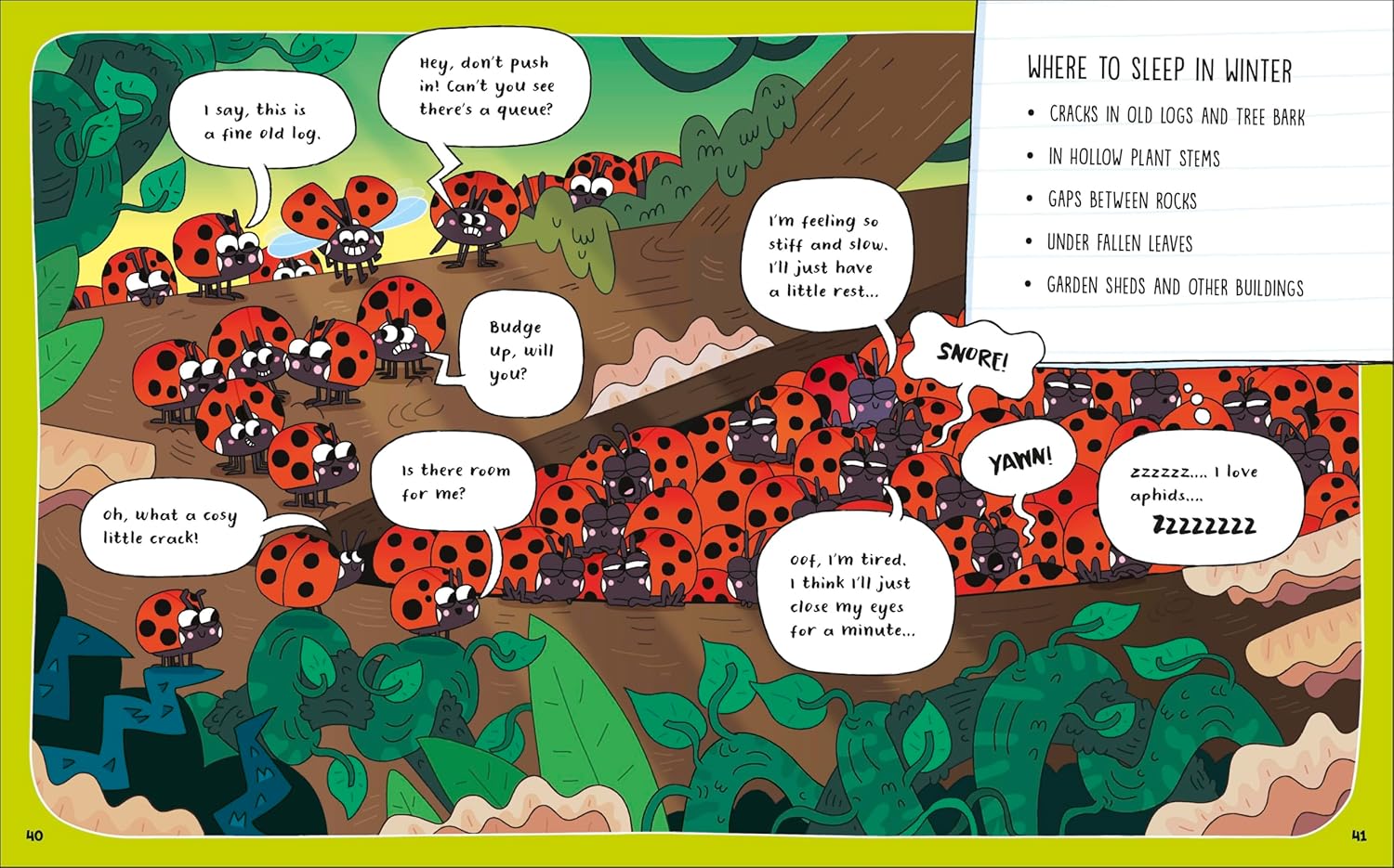 How To Be A Ladybug