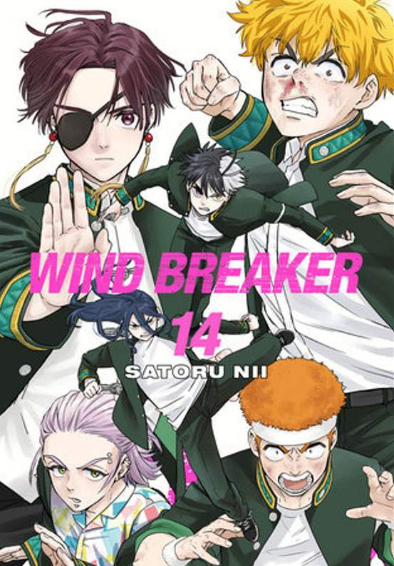 Wind Breaker 14 (Manga)