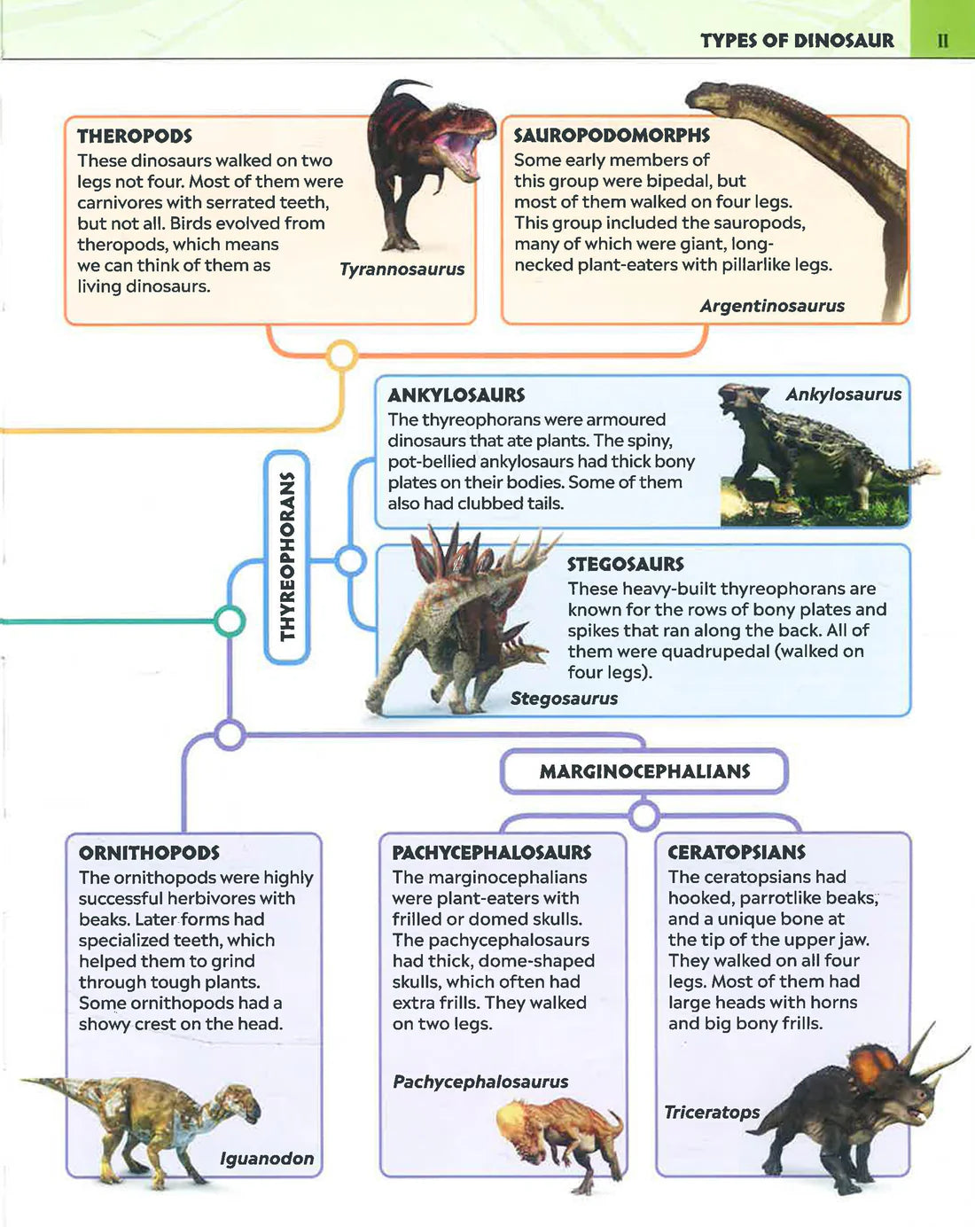 DK Extraordinary Dinosaurs & Other Prehistoric Life Visual Encyclopedia