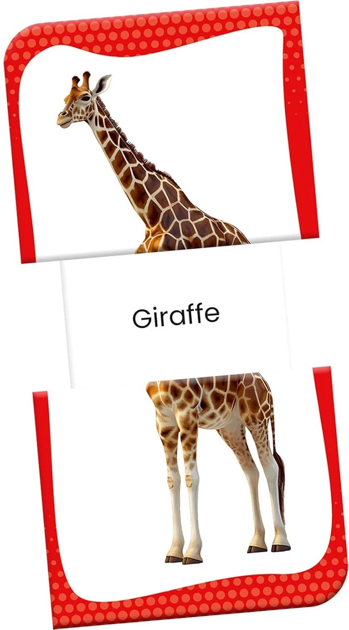 Slide & Learn Flashcards: Wild Animals & & Their Babies