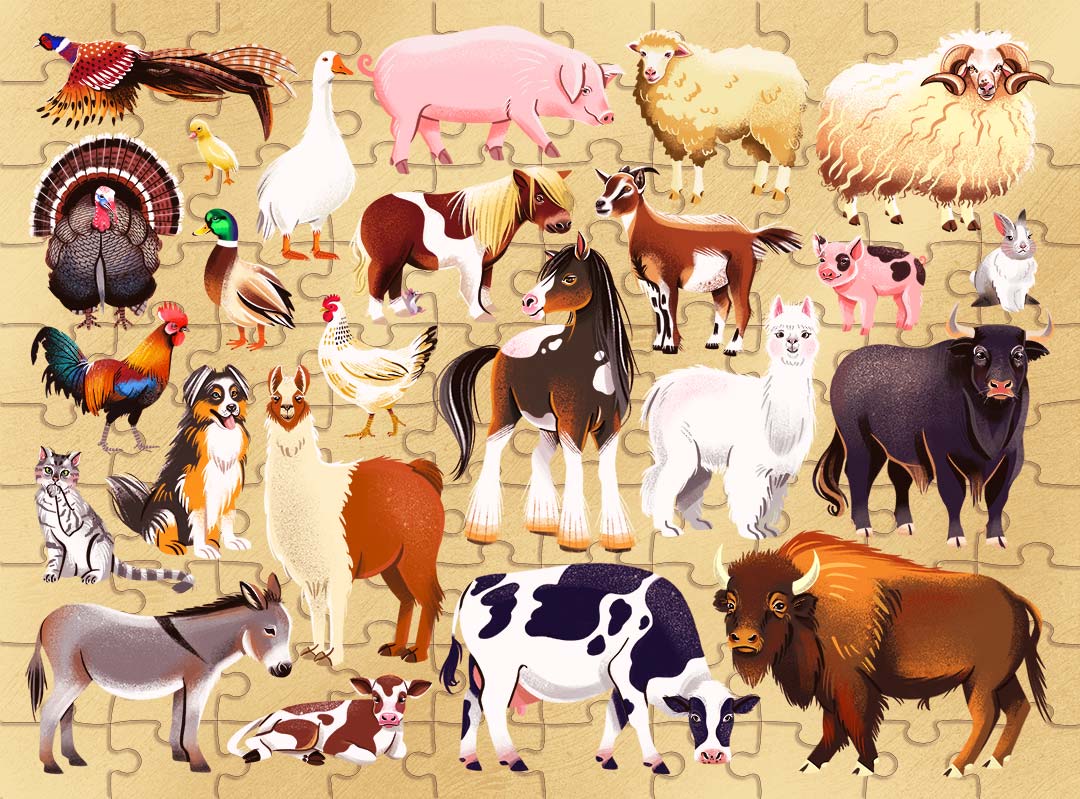 HINKLER JR JIGSAW EXPLORE 24 FARM ANIMALS
