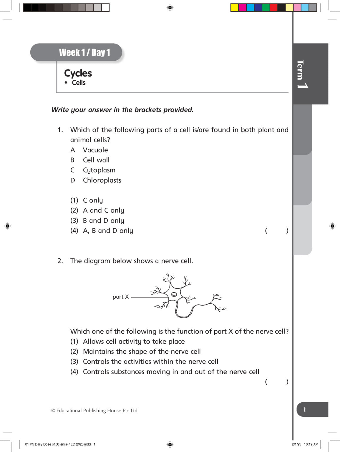 Primary 5 Daily Dose Of Science - 4th Edition