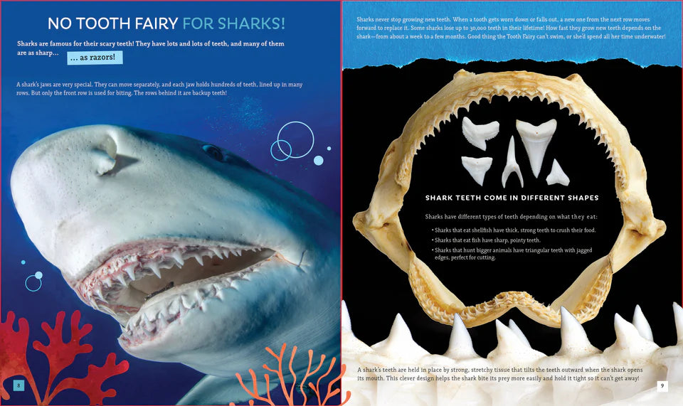 Sharks (Brainy Creatures)
