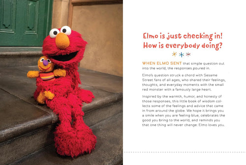 Sesame Street: Elmo Checks In: How Is Everybody Doing? (Hardcover)