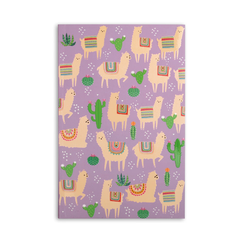 Notebook - Alpaca 1