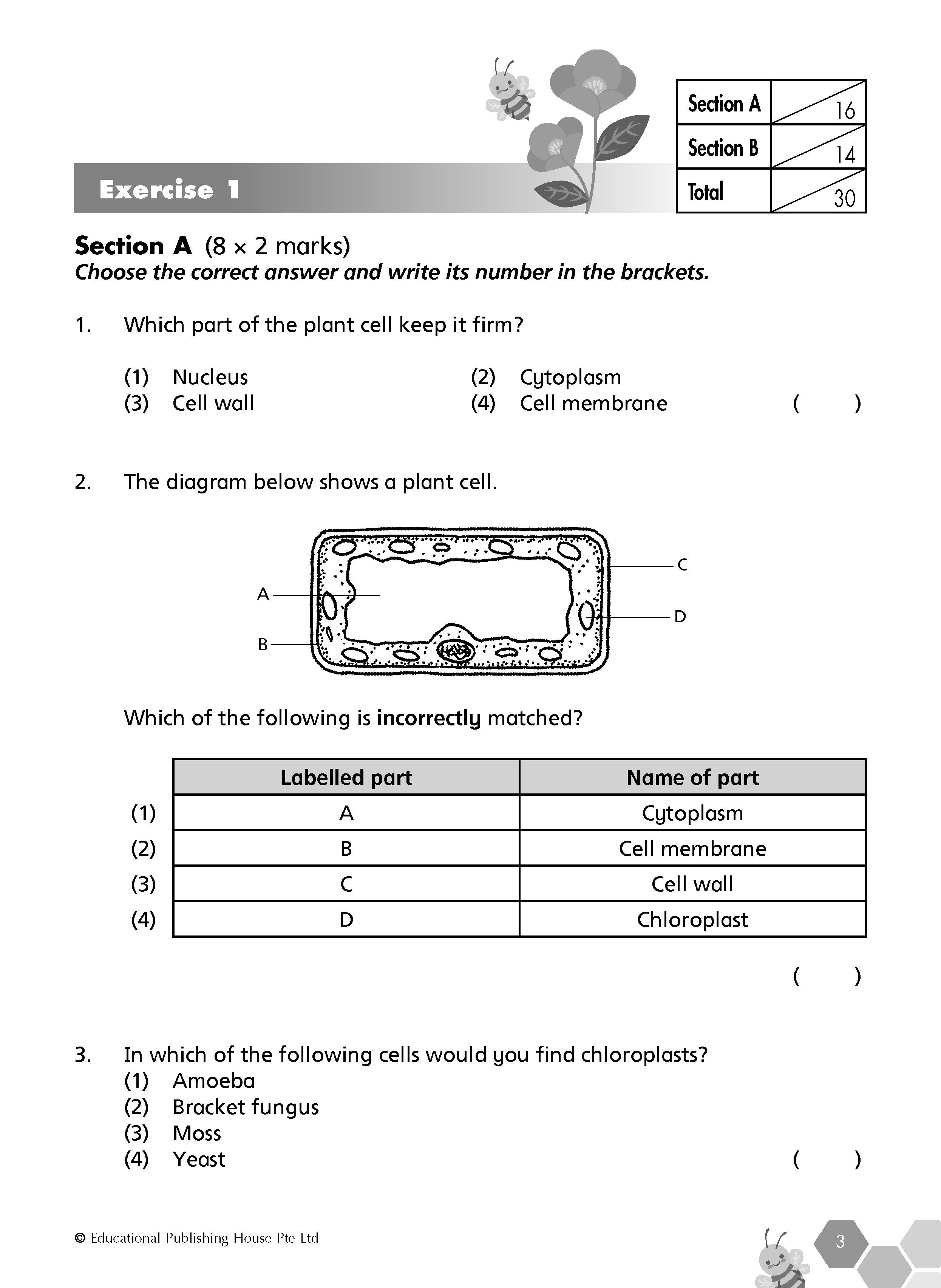 Primary 5 Science Revision Workbook