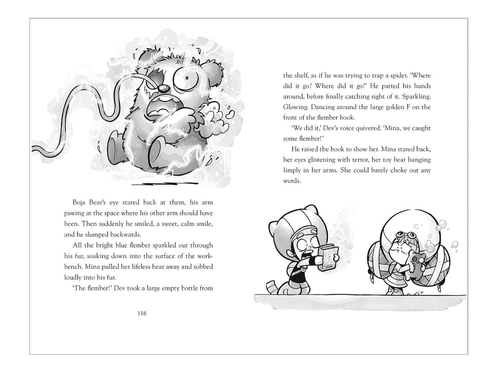 Flember 1: The Secret Book (Paperback)