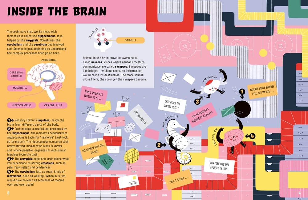 Our Marvelous Memory (How Your Brain Works)
