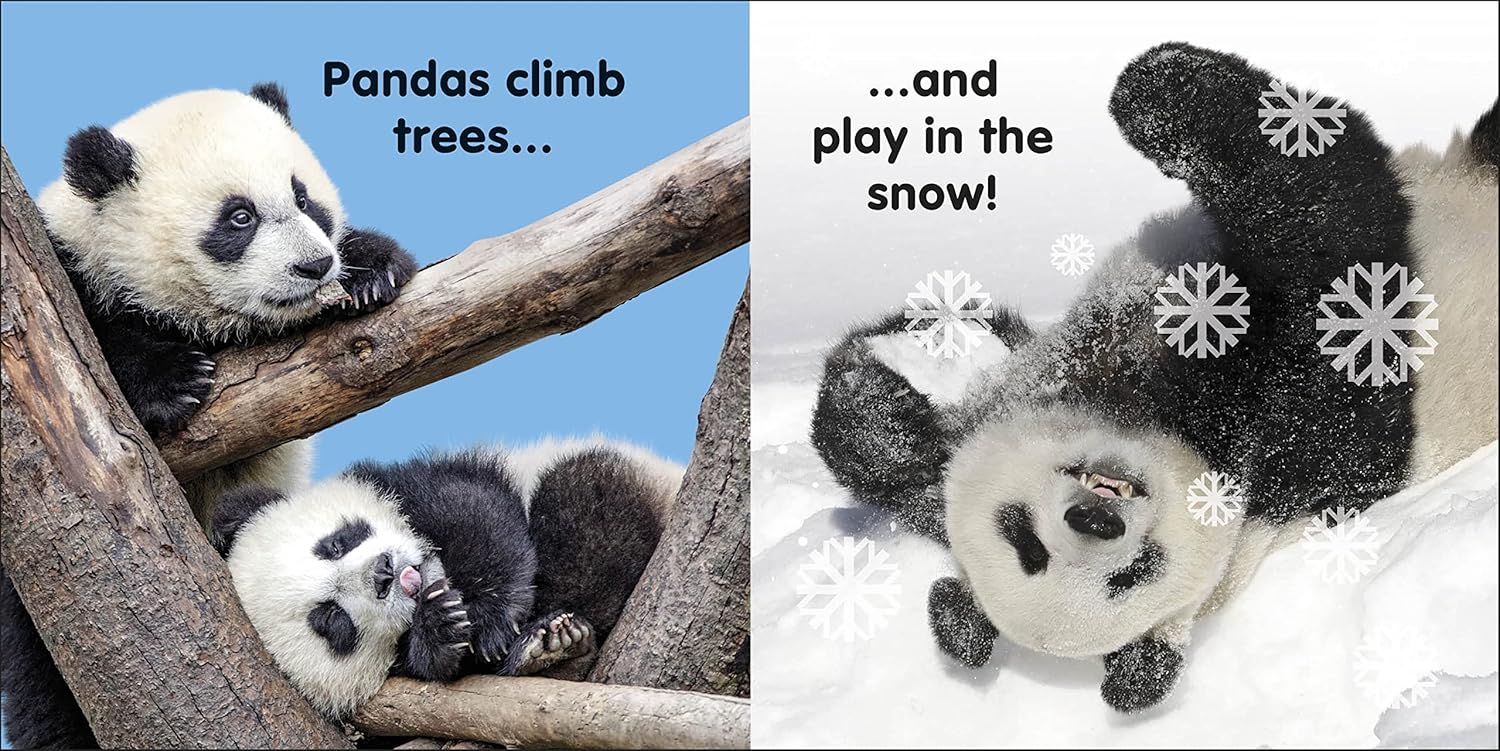 Baby Touch and Feel Panda (Paperback)