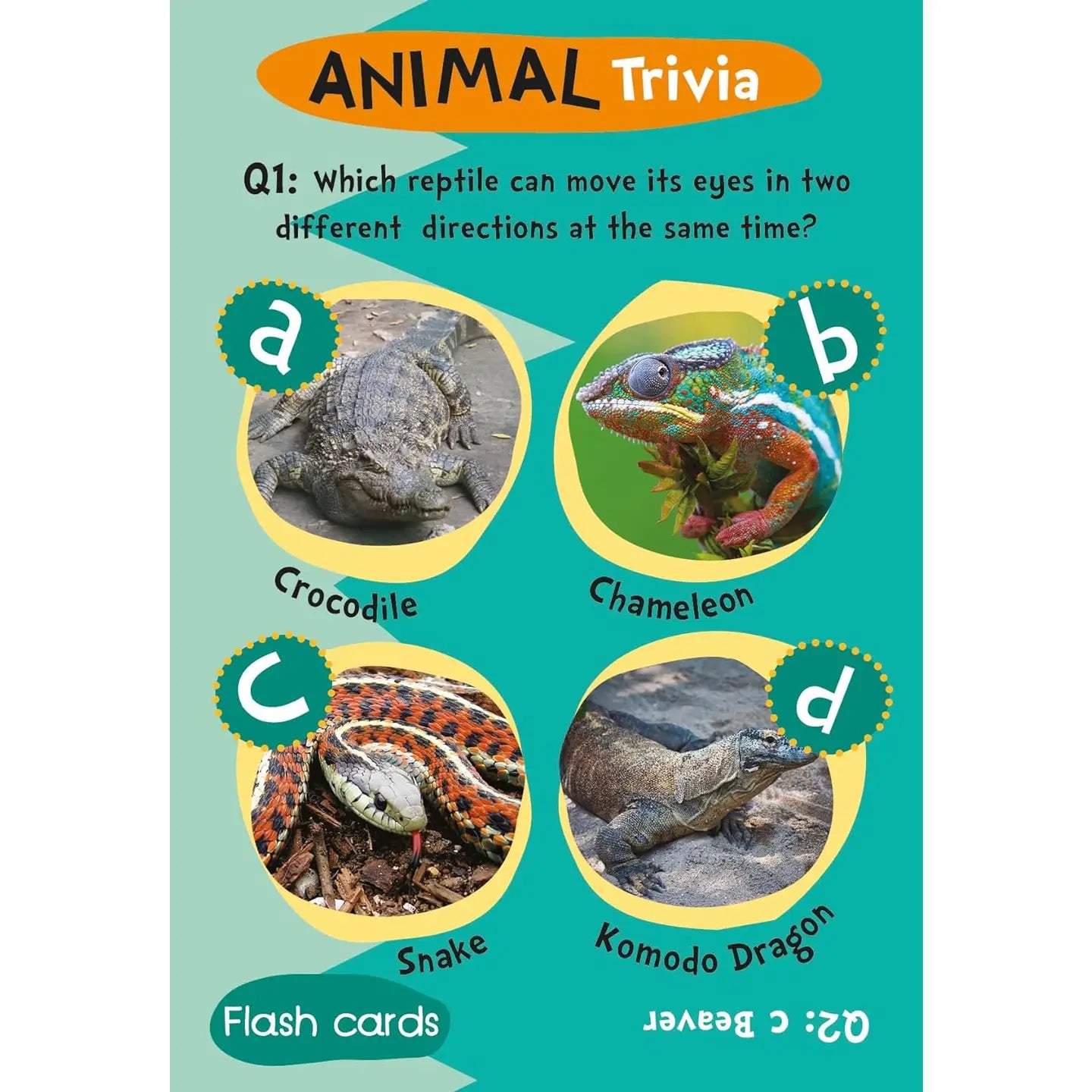 Flash Card Gift Set - Animal Trivia