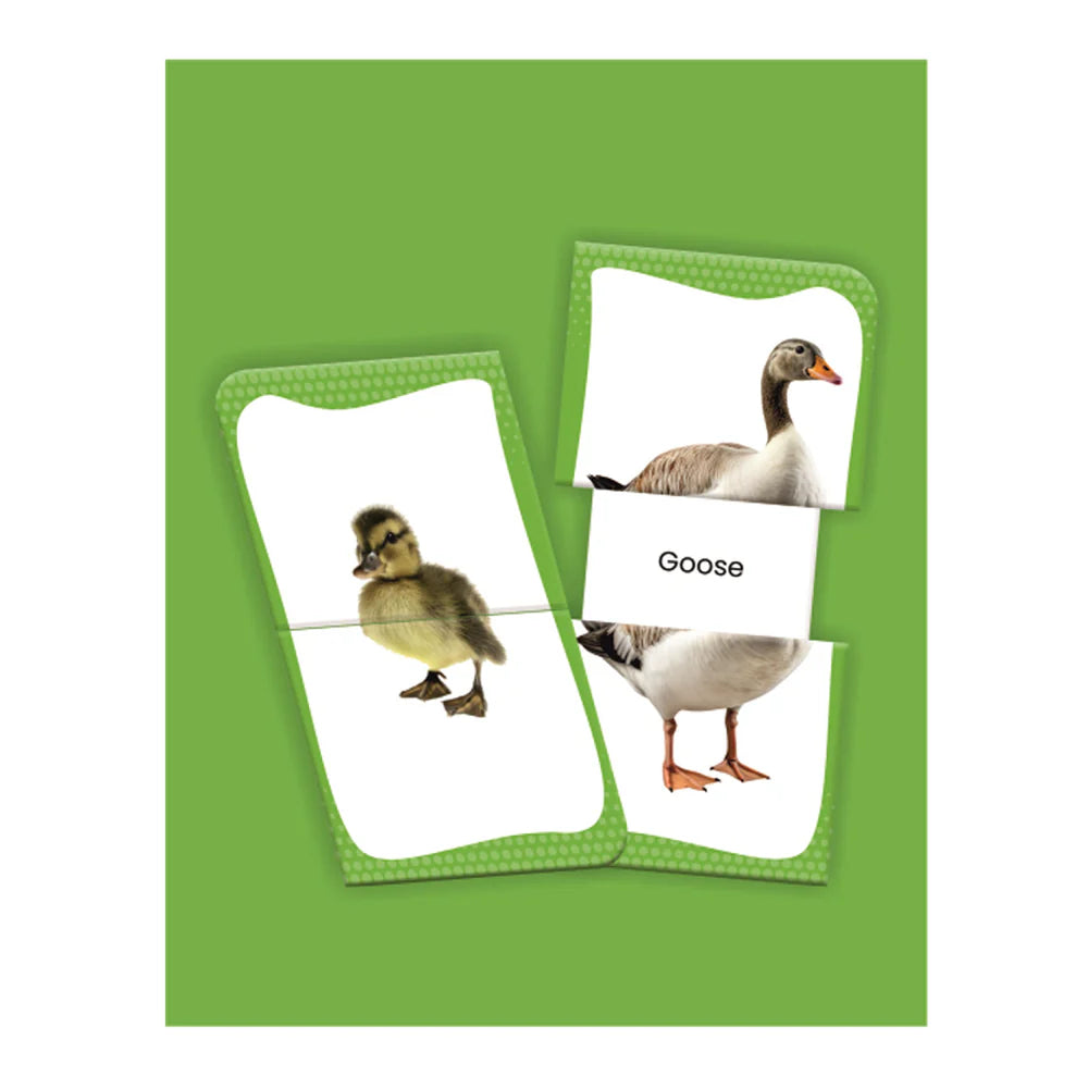 Slide & Learn Flashcards: Farm Animals & Babies