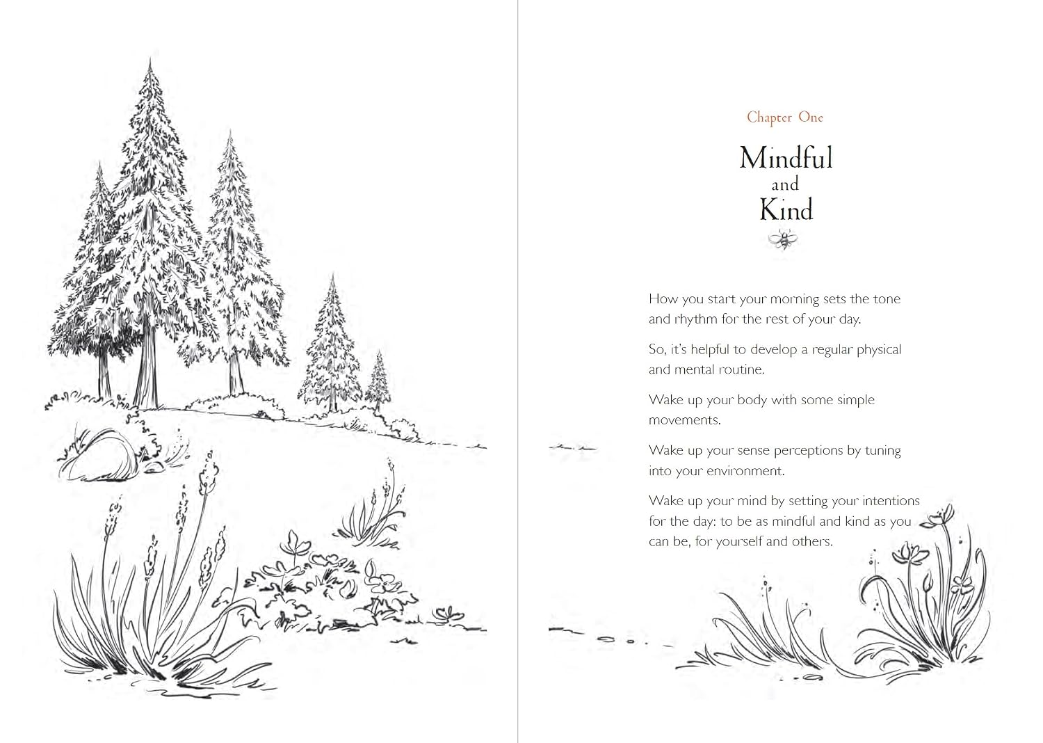 A Walk in the Wood: Meditations on Mindfulness with a Bear Named Pooh (Hardcover)
