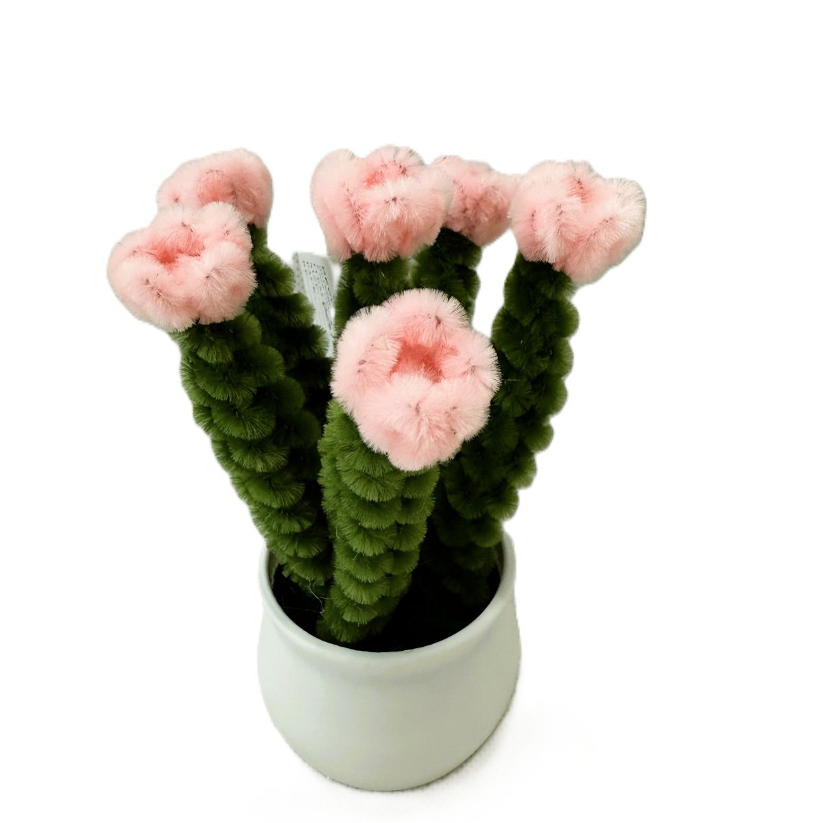Cactus Twist Flower Pot 210