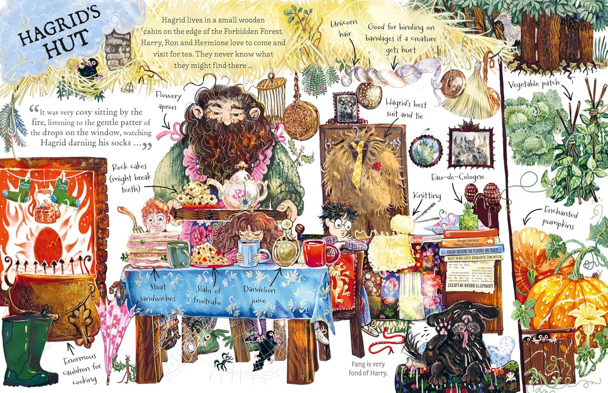Harry Potter Pocket Potters: Hagrid (Hardback)