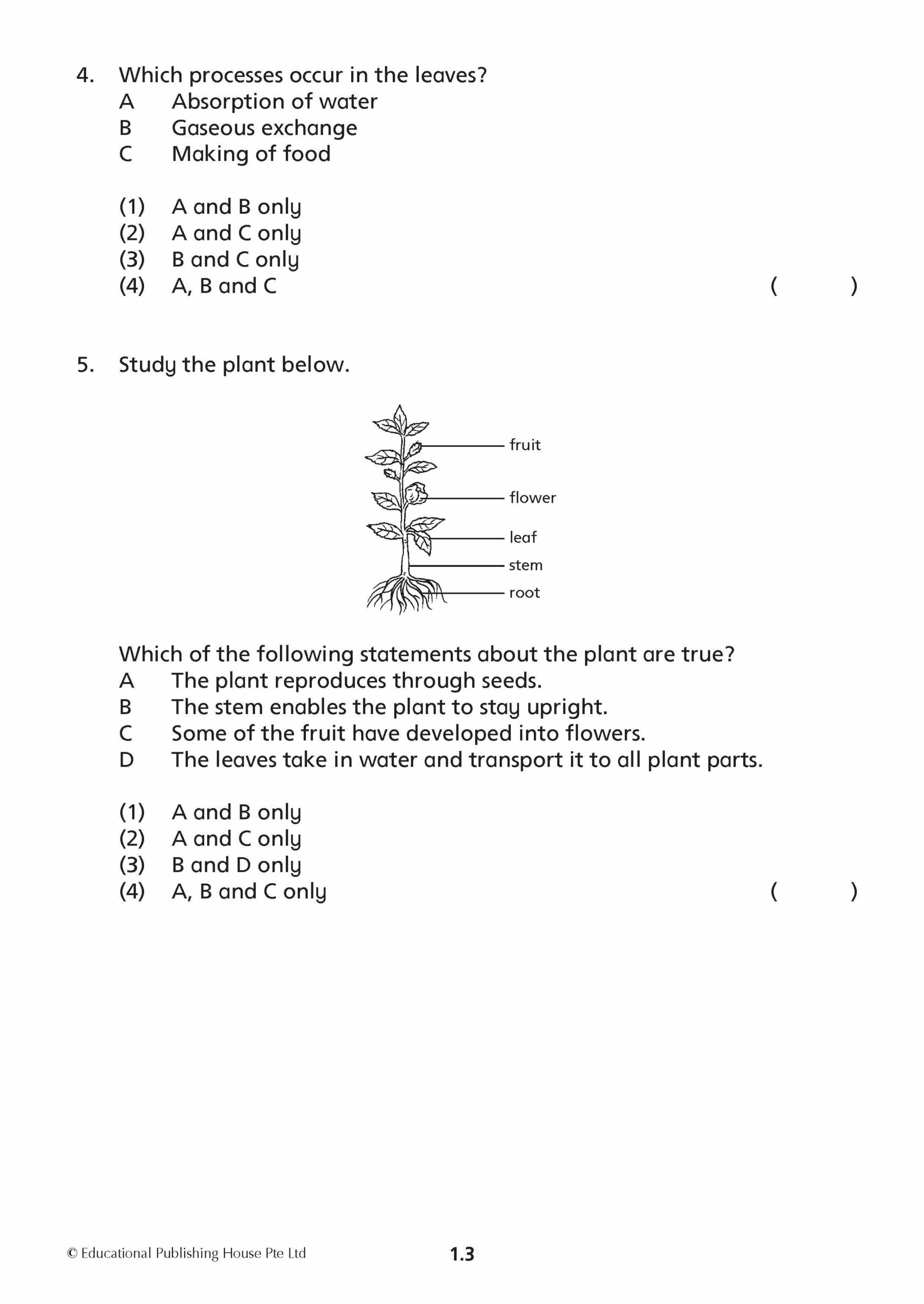 Primary 4 Science Mid-Year Review Papers