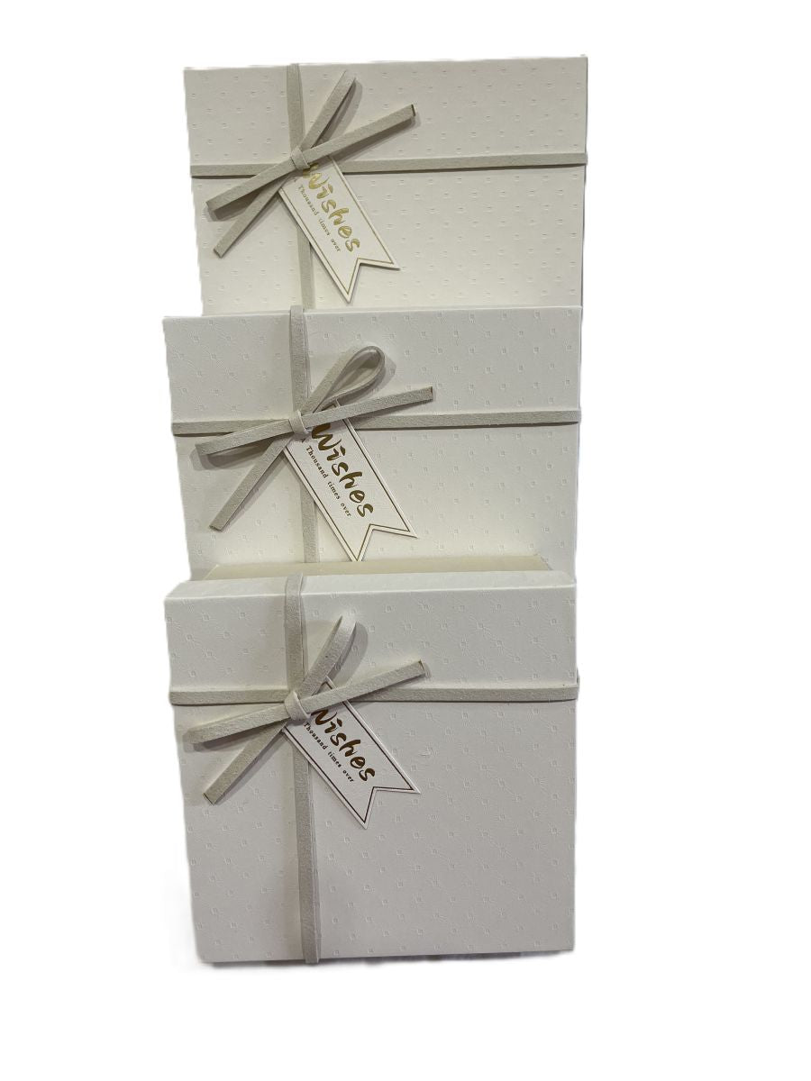 Gift Box (M) 17*17*8 Y92301