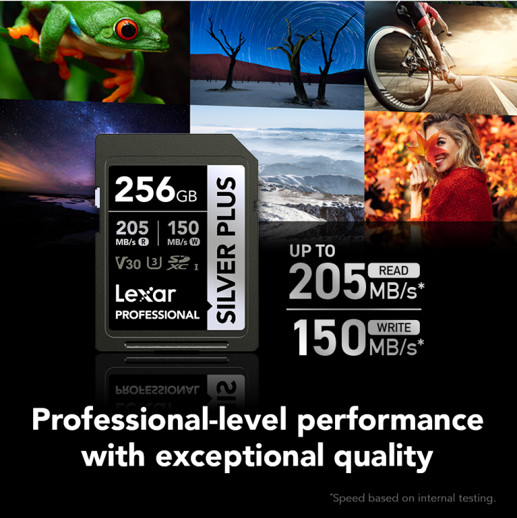 Lexar 256GB Silver Plus SDXC C10 R205/W150 Memory Card