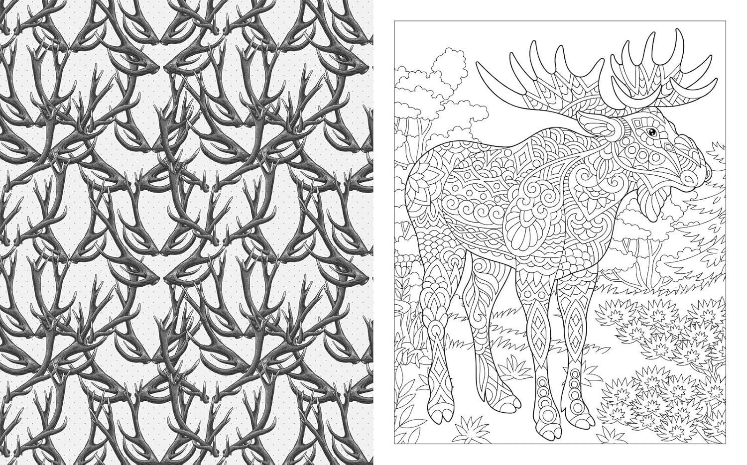 Wild Animals Colouring Book
